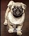 Produktbild 2019 - 2020 | 18 Month Weekly & Monthly Planner July 2019 to December 2020: Pug Pup Dog Breed Pets Vol 2 Monthly Calendar with U.S./UK/ ... Holidays– Calendar in Review/Notes 8 x 10 in.