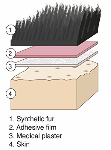 Philosoph dunklen ingwer bart - 2