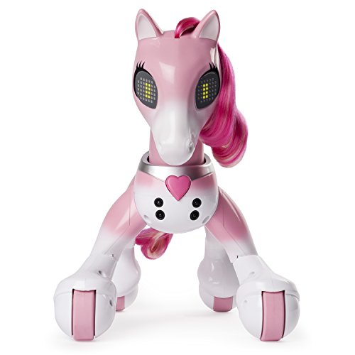 418SUmsUNNL Zoomer - 6036997 - Pony