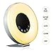 Produktbild Bioxo Sonnenaufgang Wecker, 6 Farben Atmosphere Lampe mit Sonnenaufgang Simulation, Wake-Up Licht Wecker, 7 Alarm Sounds FM Radio, Multi Light Modi, Touch Control Morgen Alarm Licht mit Snooze Funktion Nachtlicht mit USB-Ladegerät