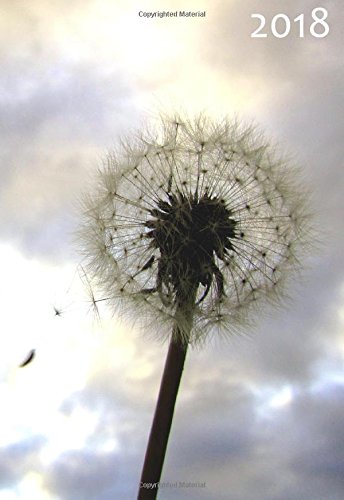 Preisvergleich Produktbild Mini Kalender 2018 - PUSTEBLUME - ca. DIN A6: 1 Woche pro Seite