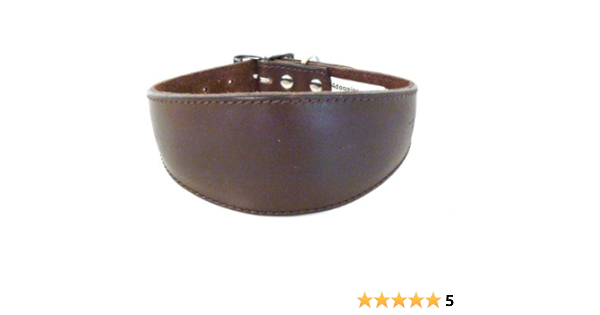 whippet collars amazon