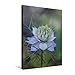 Produktbild Premium Textil-Leinwand 50 x 75 cm Hoch-Format Die aparte Jungfer im Grünen (Nigella) | Wandbild, HD-Bild auf Keilrahmen, Fertigbild auf hochwertigem Vlies, Leinwanddruck von Renate Grobelny