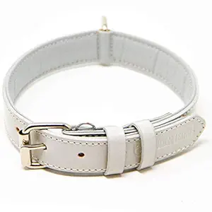 Logical Leather Dog Collar - Best Full Grain Padded Leather Collars (White, Medium)