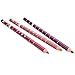 Honearn 12 Pieces Professional Women Makeup Lip Liner Pencil Set