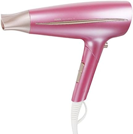 XDGG Professional Hair Salon Silent 2000W Compact Powerful Professional Folding Travel Hairdryer Household For Holiday Easy Storage , powder