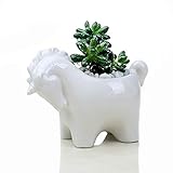 maceta unicornio mexico  Perfecto para la oficina, el hogar, el centro comercial, el hotel, el bar, el jardín del balcón, las decoraciones de jardinería doméstica.