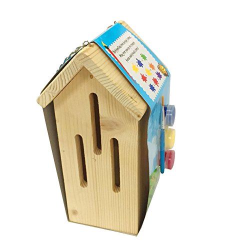 Preisvergleich Produktbild Funmate Schmetterlingshaus - Malen Sie sich selbst