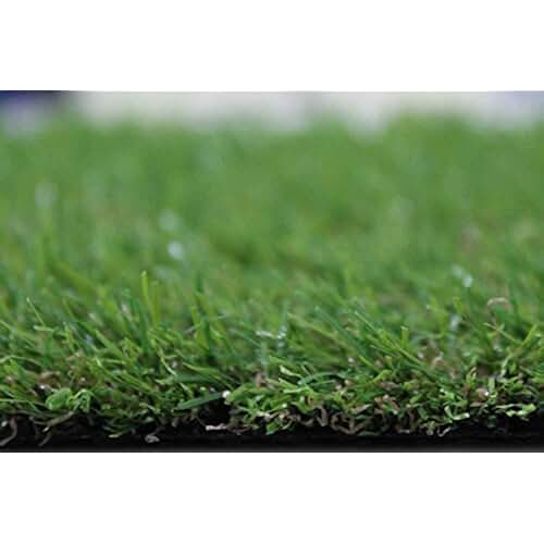 Amazon.es: precio césped artificial - 2 estrellas y más