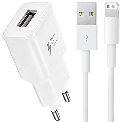 1x Original Lanboo® Fast Schnell Quick AC Reise Haus Netzteil Ladestecker Wandstecker Lade-Adapter Charger + 1x USB Kabel (1M) Ladekabel Datenkabel Verbindungskabel für Apple iPhone 7, 7 Plus, 6 Plus, 6s Plus, 6, 6s, 5s, 5c, 5, SE, iPod 5, iPod 7, iPad mini, iPad Air, iPad Pro