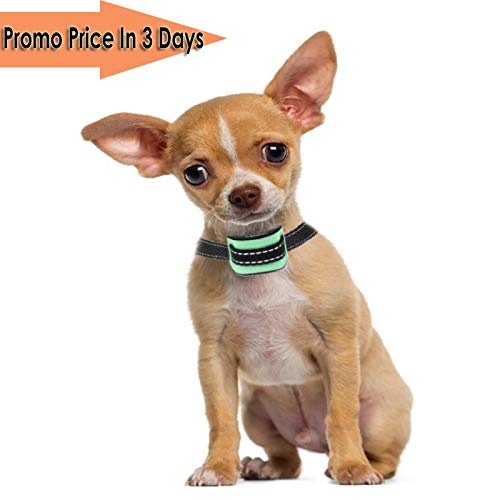 MASBRILL-Collier-de-Chien-Qui-aboie-pour-25-25-kg-Petits-Chiens-Collier-de-Dressage-Anti-aboiement-Intelligent-avec-Puce-et-Sons-amliors-avec-Son-et-Vibrations-Aucun-Danger-S-Vert