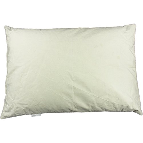 Preisvergleich Produktbild Hirsespelz-Kissen 40x60 cm