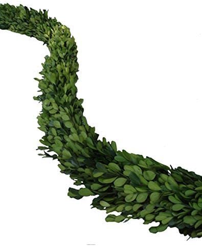 Mills Floral Boxwood Country Manor Garland, 70.5 by 3-Inch by Mills Floral Company