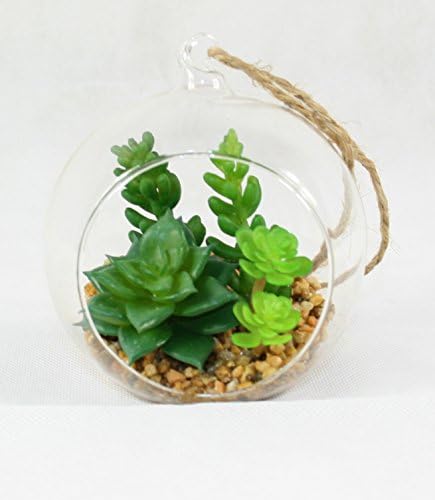 Mini Cactus in Glass Bowl, Artificial Succulent Arrangement for Home & Office 12 cm #1