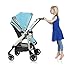 Maxi-Cosi Loola Pushchair (Folkloric Blue)