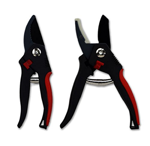 2er SET Gartenschere 2 teilig Blumenschere Astschere