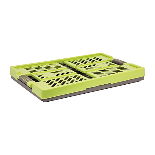 4 x keeeper Profi-Klappbox ”ben” (45 Liter / PP / grün-taupe) - 3