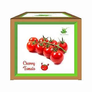 Sow and Grow Seed Starter Vegetable Grow Kit of Cherry Tomato || DIY Easy Grow it Yourself Gardening Kit for Home and Garden || A Complete Beginner Gardeners Gardening Set