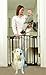 Dreambaby Safety Gate (Black)