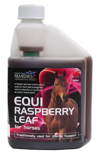 Equi Hoja de la frambuesa 500ml Complejo