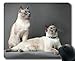 Produktbild Mäusematte, Blaue Mausunterlage der Siamkatze-Tierkatze, Mäusematte für Computer cat216