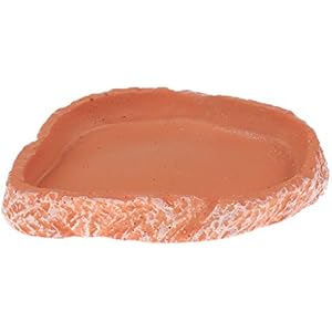 Reptile Futternapf Trinkschale Futter Wasser Harz Geschirr Pet Vivarium Schildkröte Gecko # 6