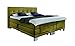 Produktbild Wellness Edition 18465 Boxspringbett Elektro Taschenfederkern 180 x 200 cm, gelb