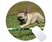 Produktbild Runde Mauspads, Dog Pug Training Jumping Breed Pedigree Gaming Mauspad