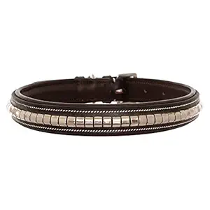 ExionPro Silver Clinchered Padded Genuine Leather Heavy Duty Dog Collar - Adjustable for Small Medium Large X-Large Male Female Dogs for Walking Running Training - Havana with Brown Padding