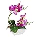 Produktbild SISHUINIANHUA Simulation Künstliche Blume Schmetterling Orchidee Home Office Geschenk Desktop Lebensechte Topfpflanzen Fotografie Requisiten Ornament Handwerk,B