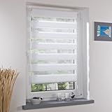 Farbe: weiß Liedeco Duo Rollo weiß Klemmfix, Doppel-Rollo ohne Bohren mit Klemmträger 80