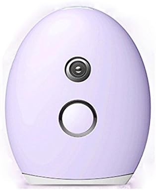 Premium Handheld Nano Ionic Cool Mist Face Hydration Sprayer - Handy Face Moisturizing - Portable USB Face Moisture Facial Beauty Instrument , light purple