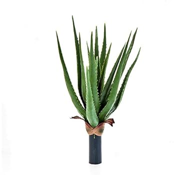 Amazon.de: Kunstpflanzen Aloe Vera grün 40 cm im Topf