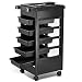 Popamazing Salon SPA Trolley Storage Cart Coloring Beauty Salon Hair Dryer Holder W/wheels