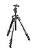 Produktbild Manfrotto MKBFRA4GY-BH Befree Reisestativ Alu schwarz/grau