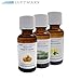 Produktbild LUFTMAXX 3er Set Duftöl Zitrone Orange Eukalyptus je 30 ml für Staubsauger mit Wasserfilter Wasserstaubsauger und Lufterfirscher
