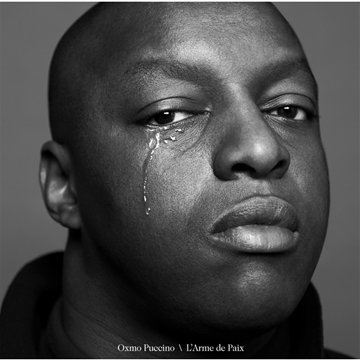 couverture de : Arme de paix (l')