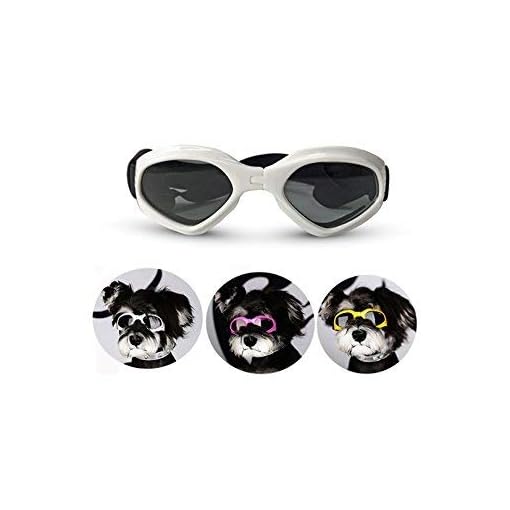 Fendi Occhiali PLABBDPL Cordino Per Occhiali, Pezzi Cinghie Per