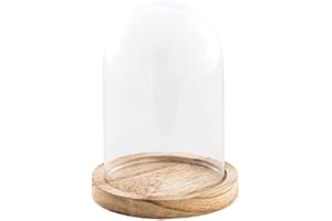 Chaks Paulownia - Campana de cristal con soporte de madera, 10 x 13,7 cm, color beige