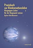 Image de Praxisbuch zur Reinkarnationslehre: Vergangene Leben für die Gegenwart nutzen
