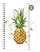 Collegetimer Pineapple 2018/2019 - Schülerkalender A5 - Weekly - Ringbindung - 224 Seiten by 