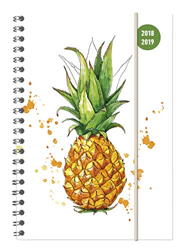 Collegetimer Pineapple 2018/2019 - Schülerkalender A5 - Weekly - Ringbindung - 224 Seiten