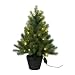 Produktbild Tannenbaum im Topf m. 50 Licht