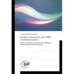 Analyse Bancaire des PME Camerounaises: Passer de la Bancarisation de l'Afrique A l'africanisation de la Banque