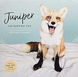 2019 Wall Calendar: Juniper: The Happiest Fox by