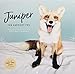 2019 Wall Calendar: Juniper: The Happiest Fox by