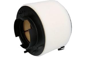 Filtron AK371/8 Vani motore