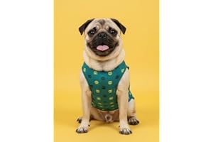 Baeship Studio Cotton Dog T-Shirt for Small & Medium Breeds Penguin Print Pet Vest for Pugs, Shih Tzus, Beagles Blue XS to XXL (S)