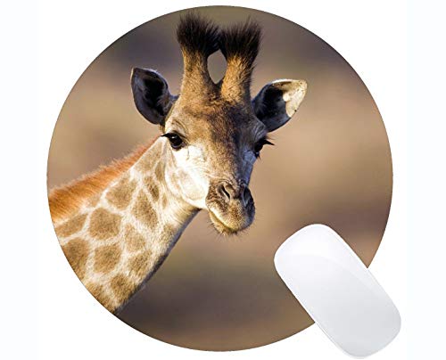Preisvergleich Produktbild Rechteck-runde Mausunterlage, Stimmungstiergiraffe Gummi Mousepad Genähte Ränder