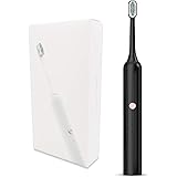 GLMING Electric Toothbrush U2 IPX7 Waterproof USB-C Rechargeable Clean, Sterilize and Massage (Black)